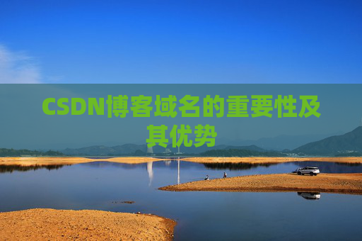 CSDN博客域名的重要性及其优势